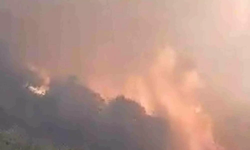 Φωτιά στην Ηλεία: Μαίνεται το πύρινο μέτωπο στο χωριό Βάλμη – Δύσκολο βράδυ στη μάχη με τις φλόγες
